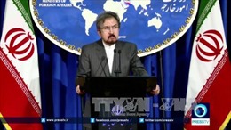 Iran phản đối thành lập lực lượng an ninh do Mỹ hậu thuẫn ở Syria 